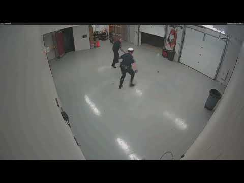 Вижте как белка изплаши полицаи (ВИДЕО)