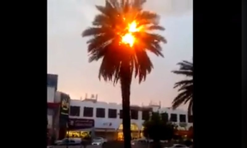 Адски мор от 63º покоси Дубай - дърветата се палят сами! Зловещи КАДРИ