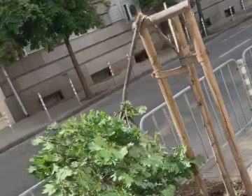 Невиждана простащина на столичната улица "Раковска" (ВИДЕО)