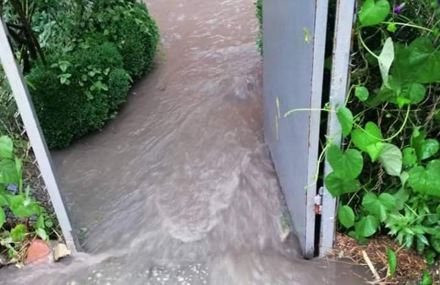 Невиждан порой удави Белозем (СНИМКИ)