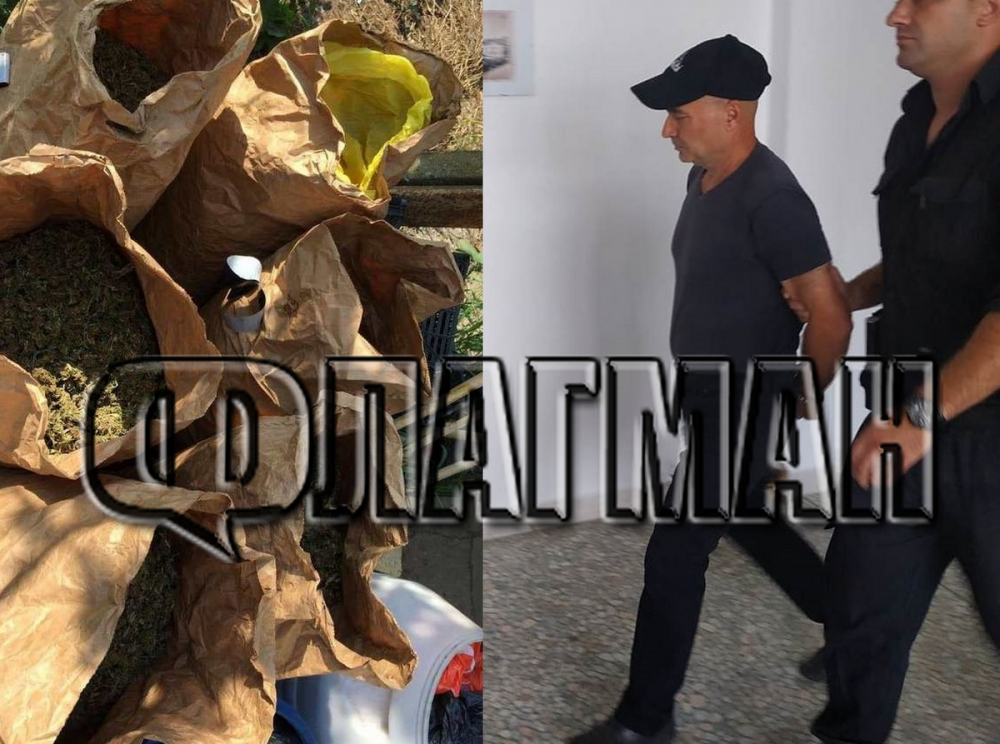 Кой стои зад разбитата наркоплантация с дрога за милиони край Поморие