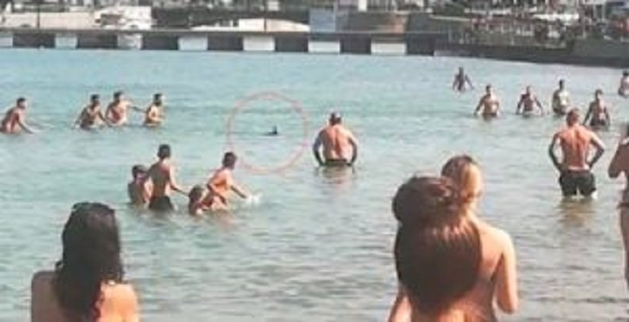 Плажуващи в Гърция убиха по жесток начин морско създание (ВИДЕО)