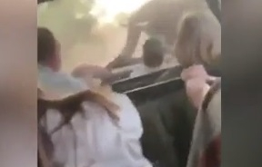 Страховито ВИДЕО! Слон нападна туристи 