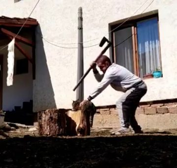 Дивакът, който кла котка с брадва, се измъкна хитро от тежка присъда