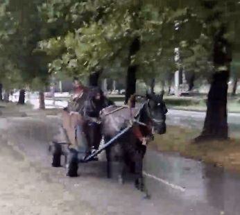Циганите в Сливен съвсем изнагляха (ВИДЕО)