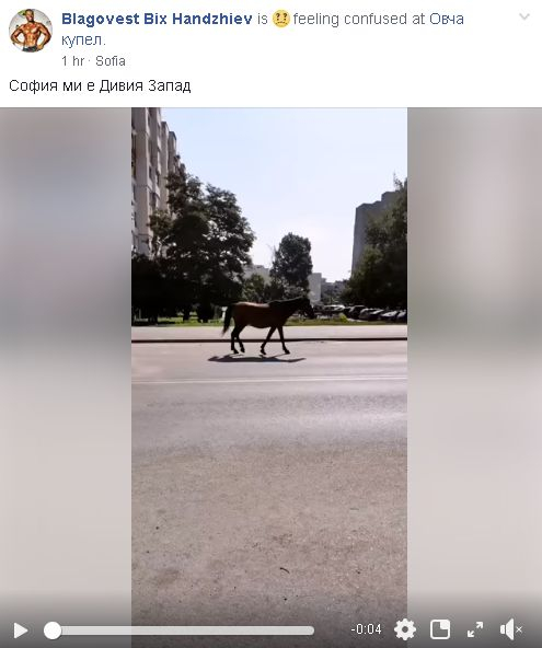 Столичният квартал "Овча купел" заприлича на Дивия Запад (ВИДЕО)