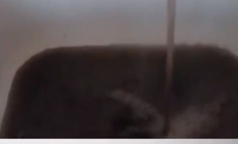 Какво е това: Черна вода в Симеоновград, а вече и... ВИДЕО