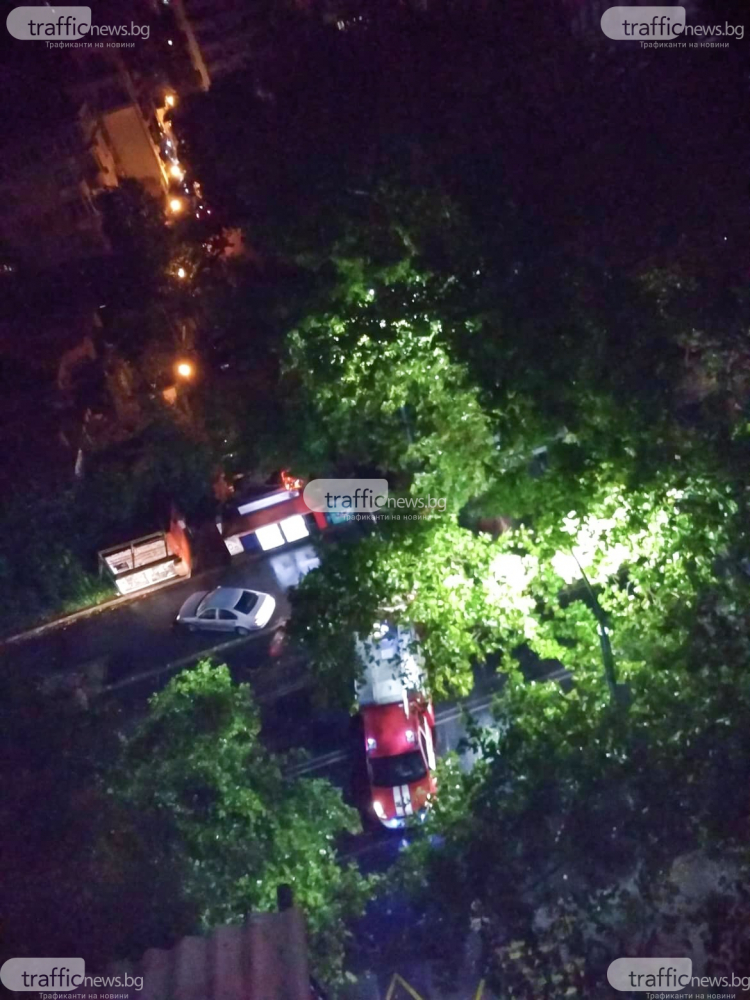 Мощна буря и в Пловдив, огромно дърво се стовари до спирка