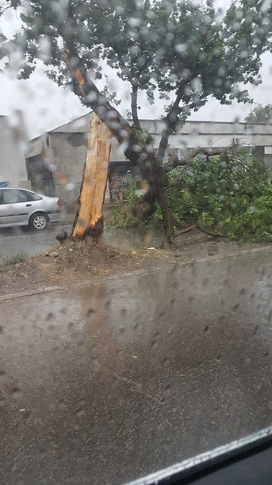 Мощна буря помита Варна СНИМКИ