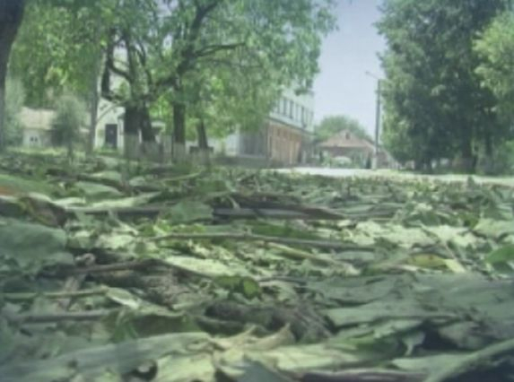Градушка колкото орех помля Врачанско, стопаните плачат