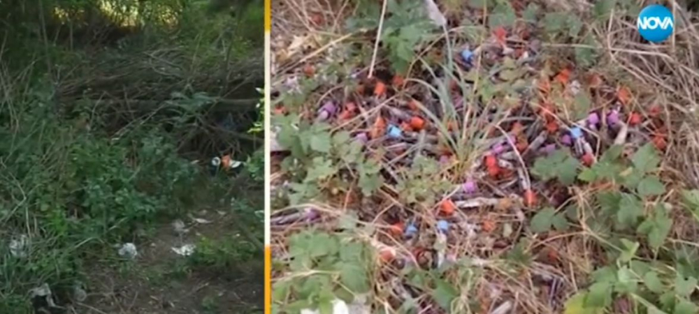 Зловещо ВИДЕО от кървавата находка край магистрала "Хемус"