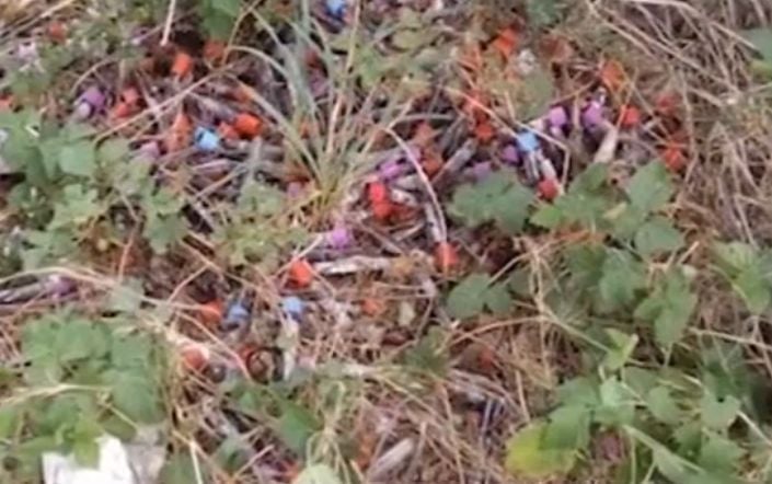 Зловещо ВИДЕО от кървавата находка край магистрала "Хемус"