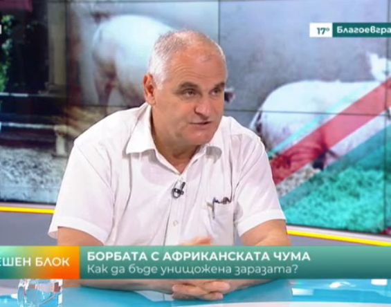 Опасно: Вирусът на африканската чума издържа в замразено месо до 2-3 години