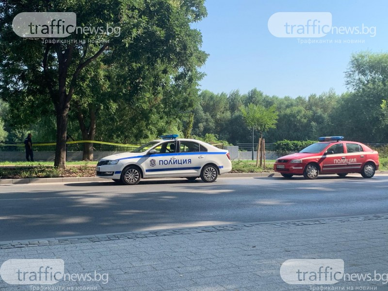 Шокираща находка край река Марица в Пловдив! СНИМКИ