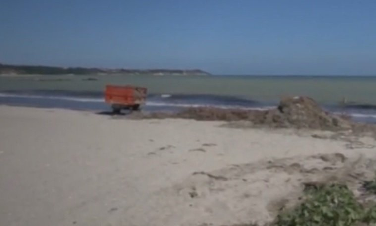 Миризлива гнус на плажа в „Сарафово” ВИДЕО