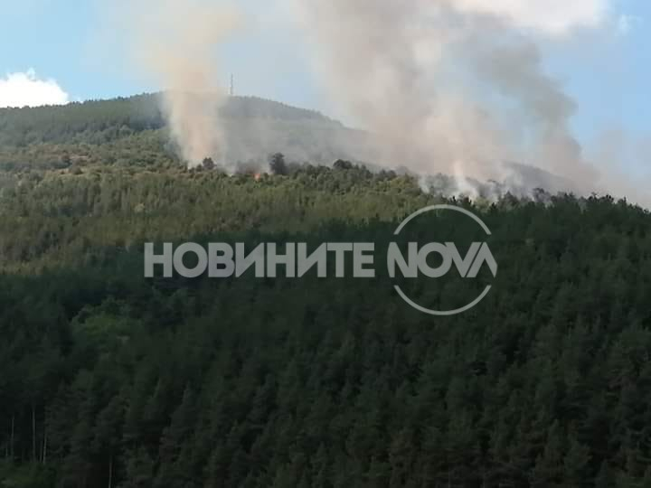 Огнен кошмар край София, пламна гората СНИМКИ