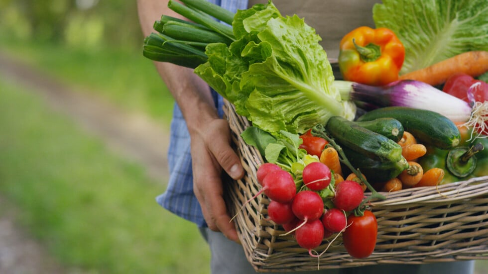 Създададоха електронен регистър за операторите на биологични продукти