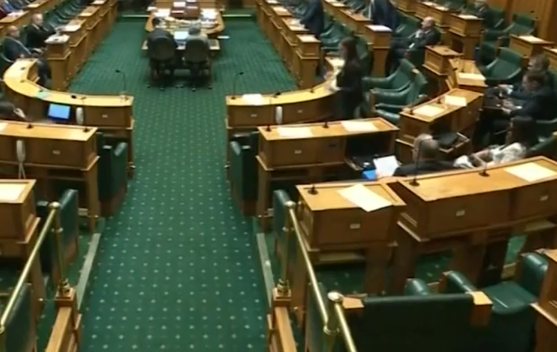 Председателят на парламента на Нова Зеландия изуми всички ВИДЕО 
