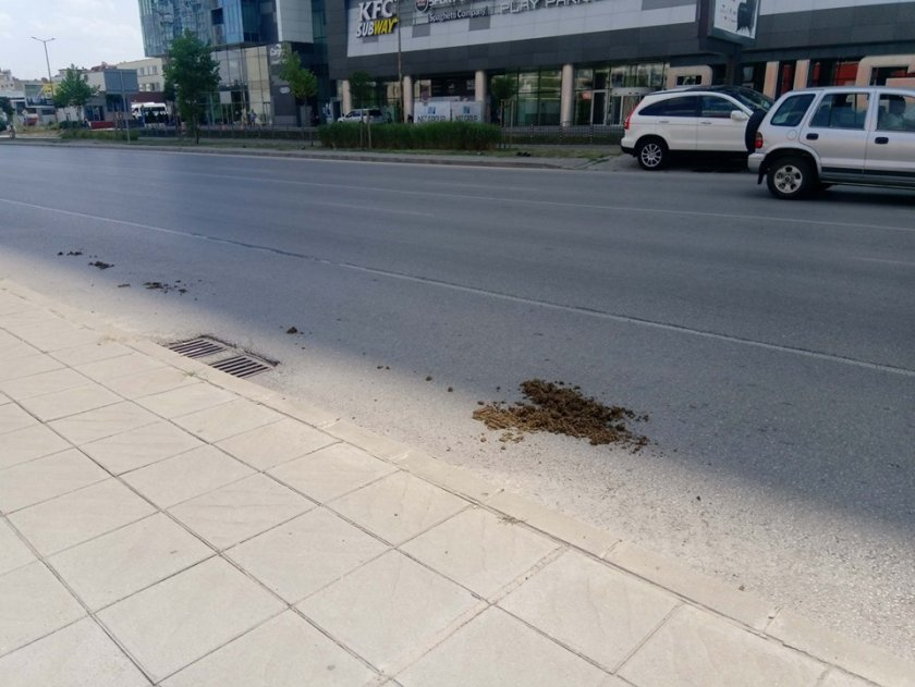 Простотията край няма: Осраха столичния бул. "Тодор Каблешков" СНИМКИ