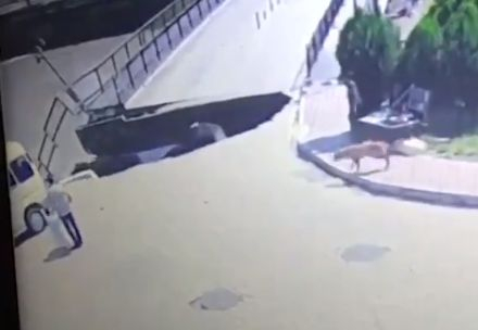 Мост се срути, повличайки коли и хора в реката! Страховито ВИДЕО 