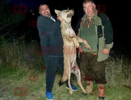 Мащабна спецакция на ГДБОП скова Бургаско! Арестуваните са десетки, а...