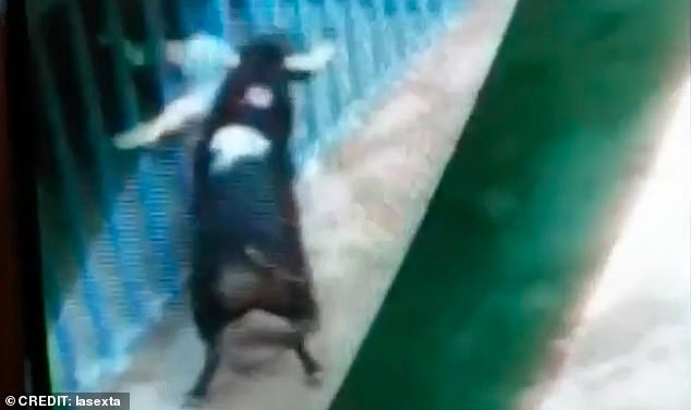 Бик обезглави човек с рогата си на празник в Испания ВИДЕО 18+