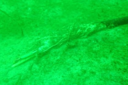 Подводна обсерватория изчезна мистериозно от дъното на Балтийско море