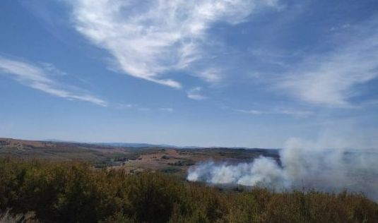 Стрелби запалиха военен полигон край Беляковец СНИМКИ