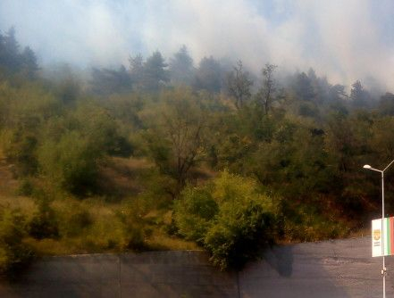Гори вилна зона – опасно близо до АМ „Тракия“
