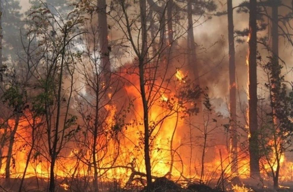 От пожарната с последни новини за огнения ад в Рила 