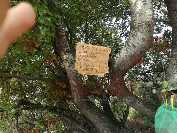 Няма да повярвате какво правят цяла седмица група тийнейджъри в Бургас 