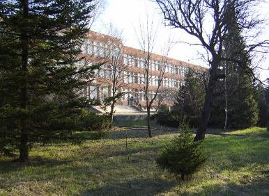 Ученици се натъкнаха на изключително скъпа находка в двора на школото  