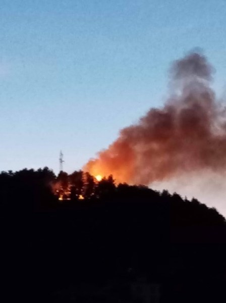 Пожар бушува близо до училище и къщи в Асеновград ВИДЕО