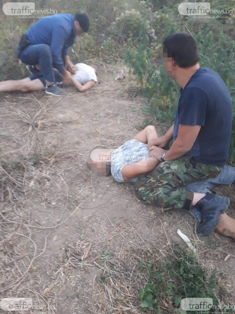 Хванаха кандидат-кмет да полива канабис и го тръшнаха на земята ВИДЕО