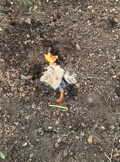 СНИМКА показа какво се случи на гроба на внезапно починалия собственик на агенция "Фокус"
