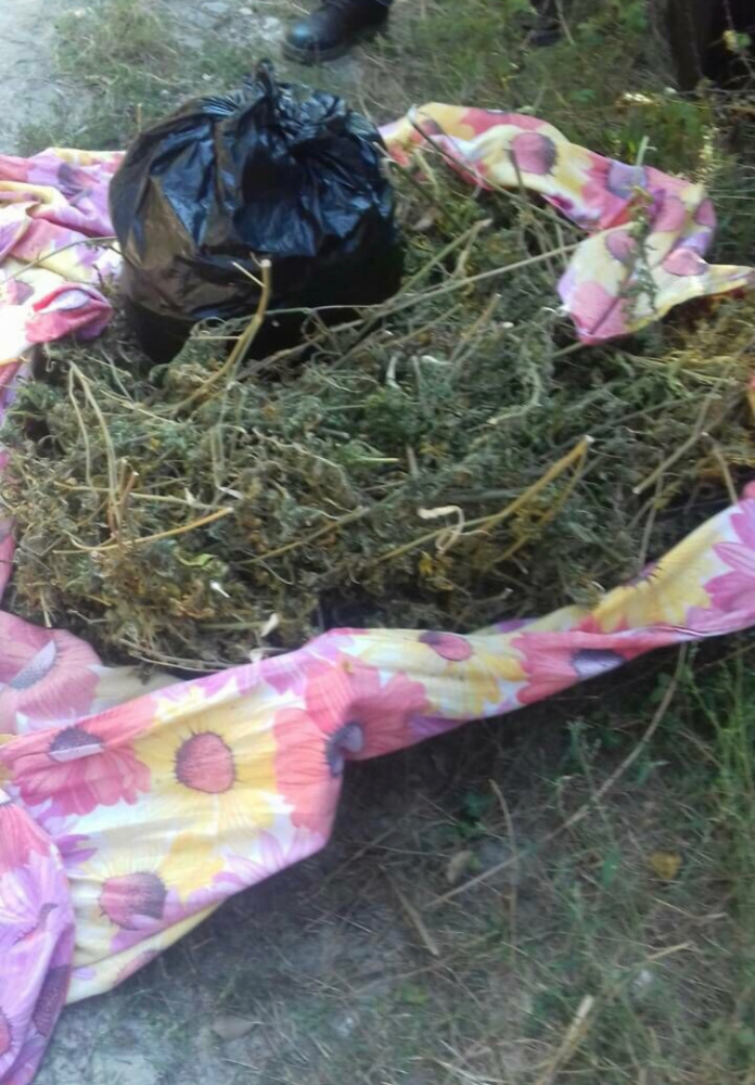 Нанесоха страшен удар на играчите на пазара с канабис в Пиринско СНИМКИ