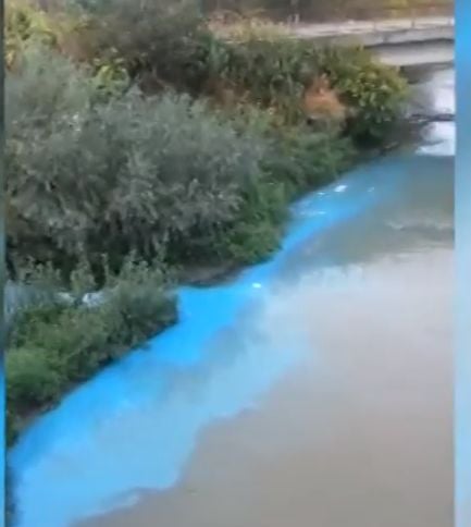 Русенци изпаднаха в ужас заради това ВИДЕО