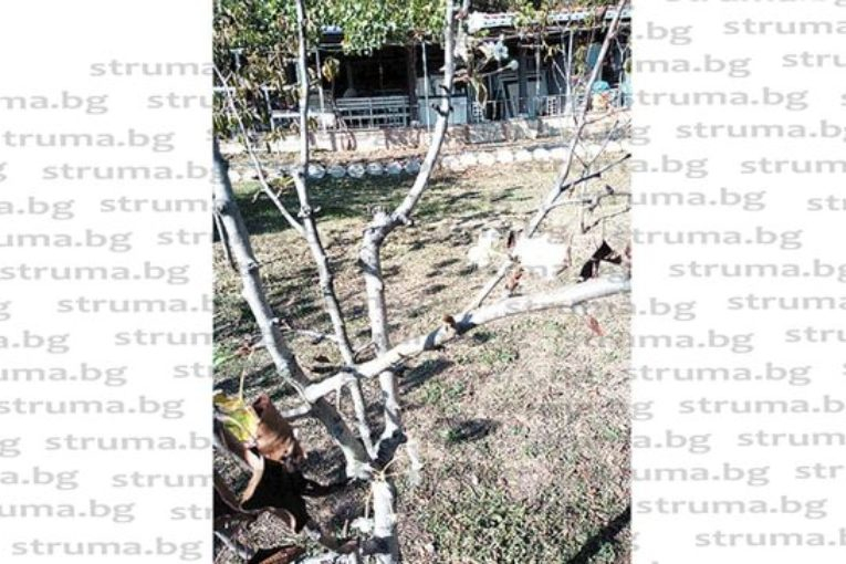 Уникален природен феномен шашардиса жителите на благоевградско село СНИМКА