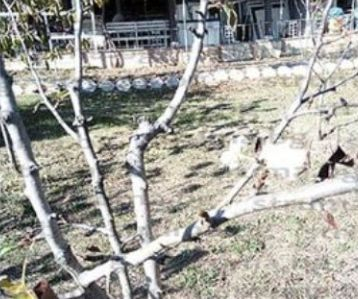 Уникален природен феномен шашардиса жителите на благоевградско село СНИМКА
