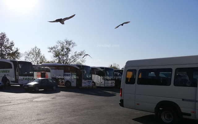 Феномен в Кърджали с пълни автобуси в деня за размисъл СНИМКИ