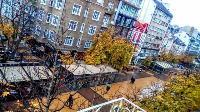 Ходеща ужасия на пъпа на София СНИМКА