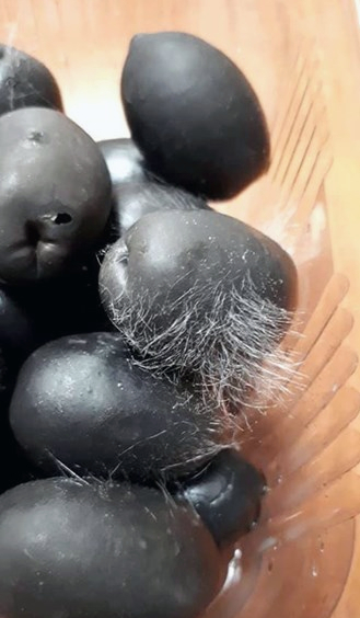 По-добре не гледайте тези СНИМКИ на продукт, купен в супермаркет на известна верига!