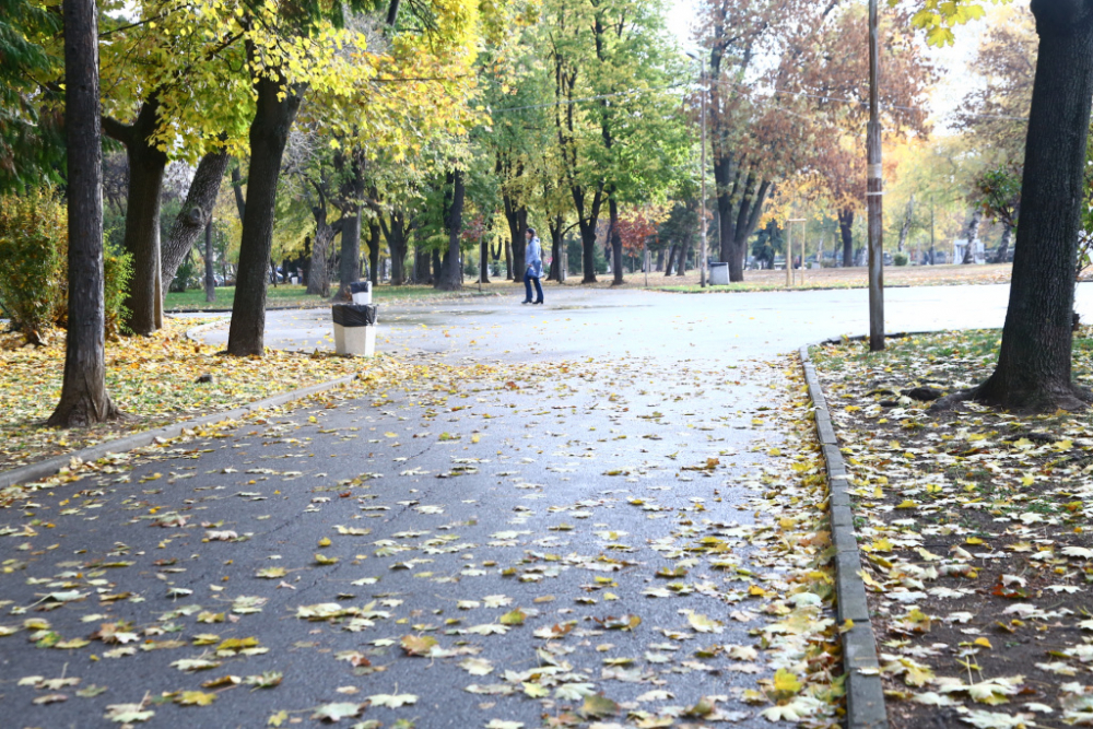 Фоторепортаж в БЛИЦ: "Духач" прикова погледите в столичния "Заимов"