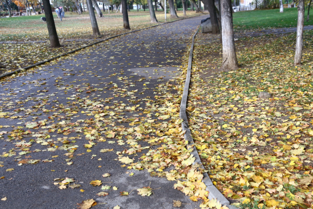 Фоторепортаж в БЛИЦ: "Духач" прикова погледите в столичния "Заимов"