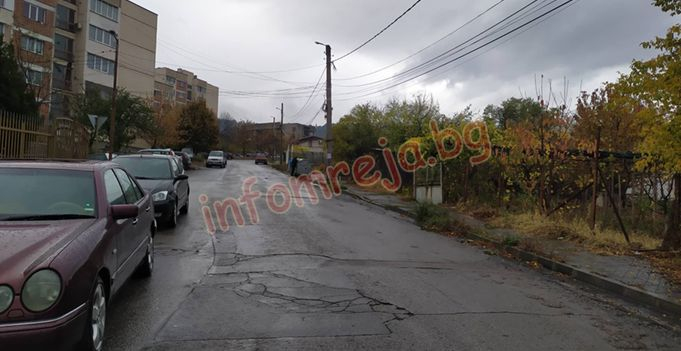 В Кюстендилско изтръпнаха: Две зверства само за нощ ПЪРВИ СНИМКИ
