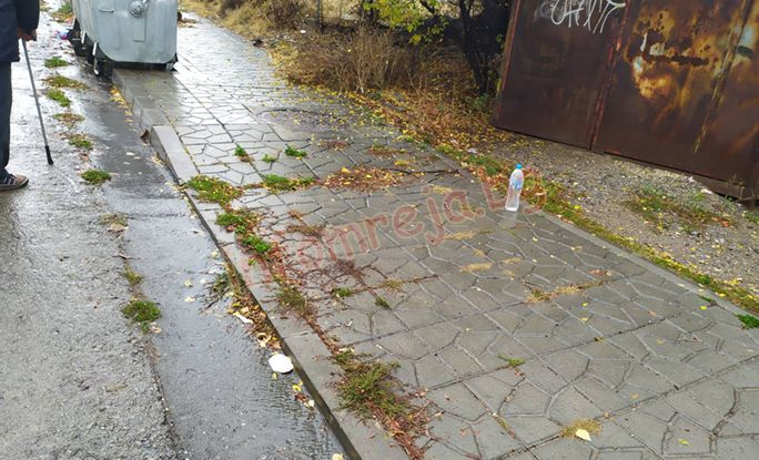В Кюстендилско изтръпнаха: Две зверства само за нощ ПЪРВИ СНИМКИ