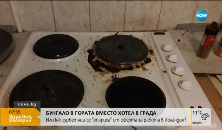 Наши гурбетчии дойдоха в Холандия за много пари, но всичко се превърна в ад ВИДЕО