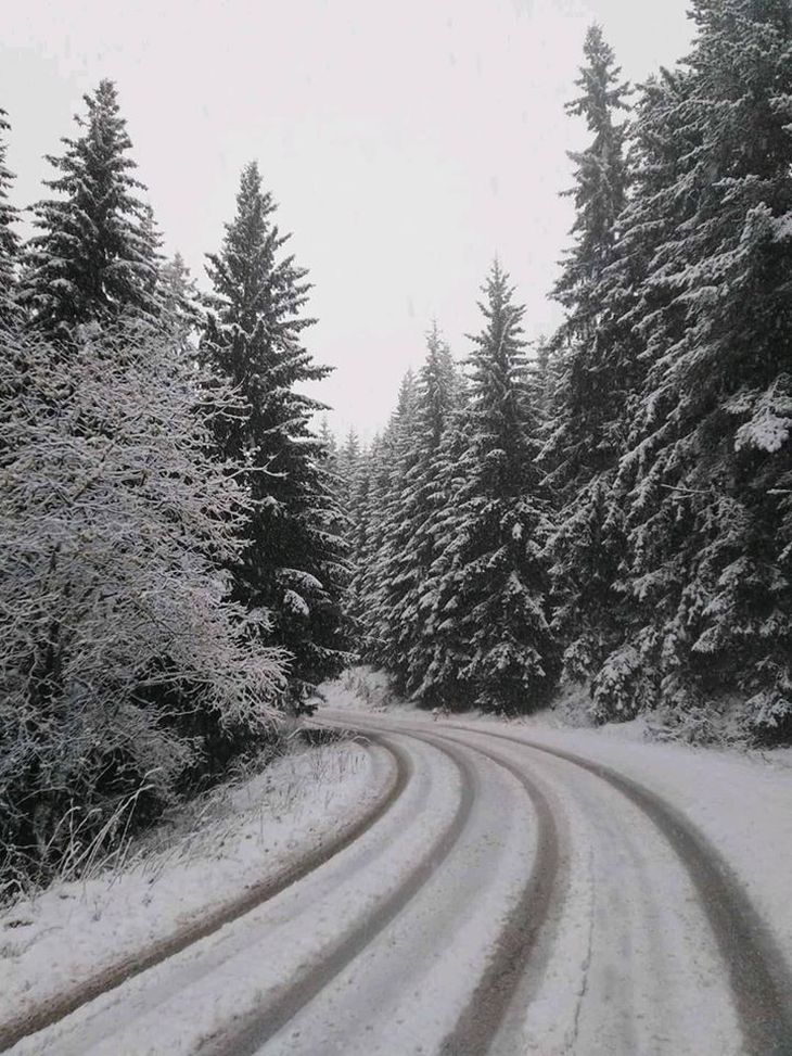 "Meteo Balkans" показа къде в България вече трупа обилно сняг СНИМКИ