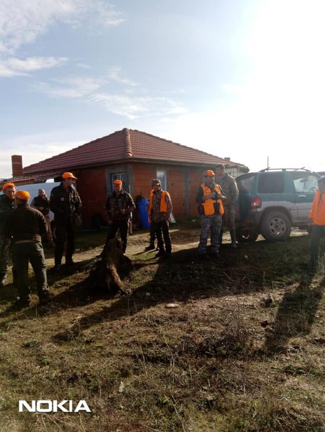 Авджия гътна огромен звяр в местността "Димана" СНИМКИ