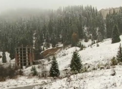 20 сантиметра сняг натрупа на Пампорово